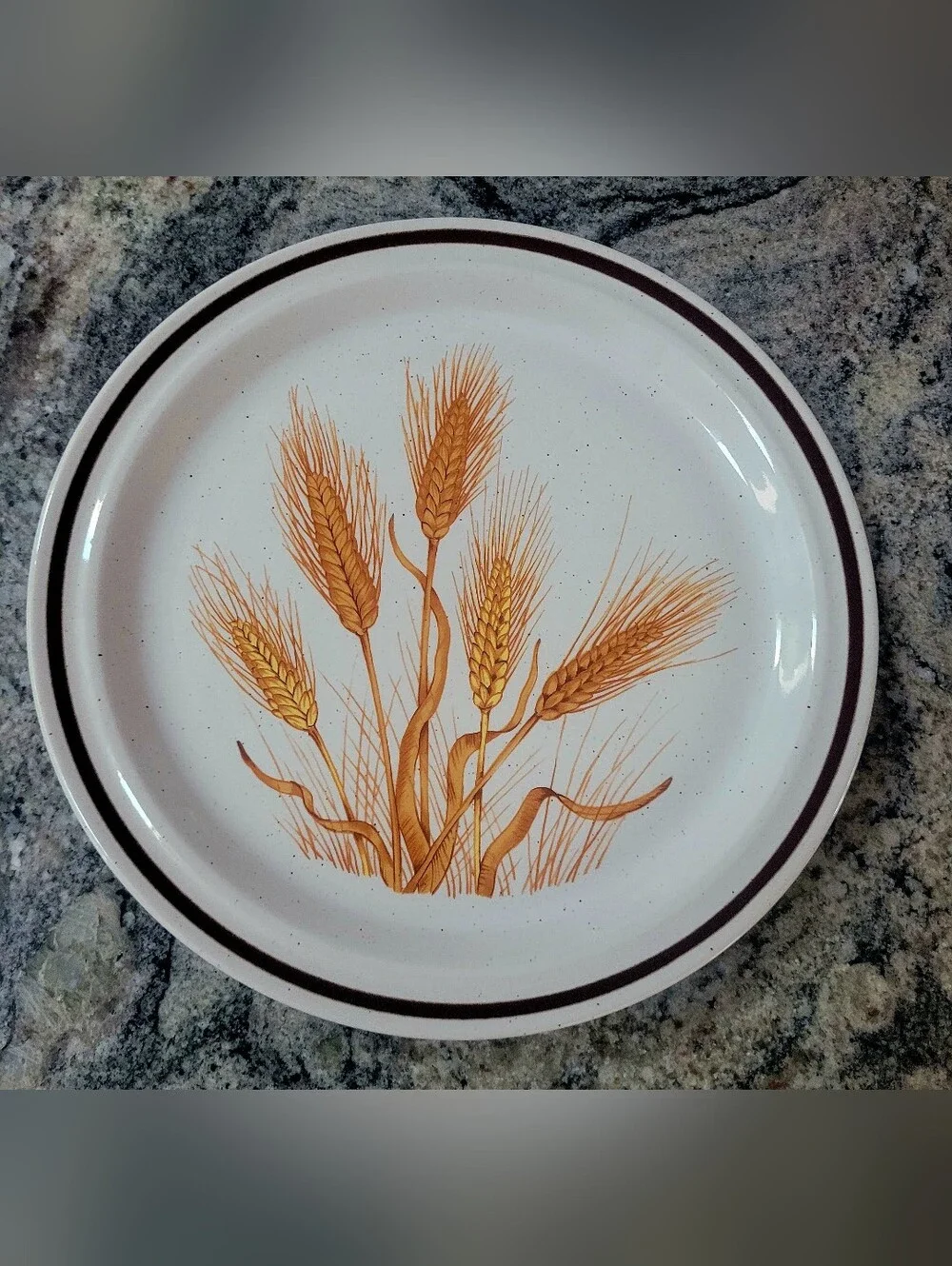 XL Vintage Serving Plate 